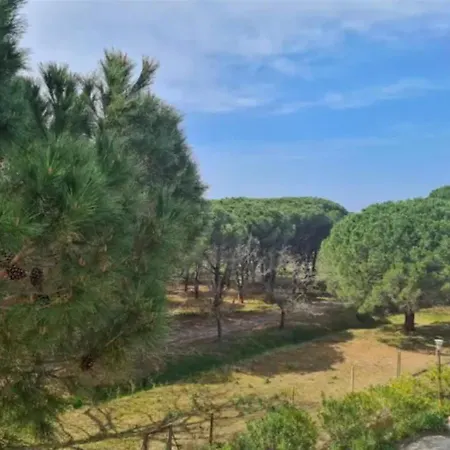 Le Paradis A La Plage - Lisarno Loc